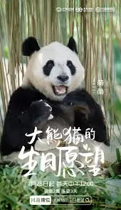《大熊猫的生日愿望》：一场关于爱与友谊的冒险之旅，萌化你的心！
